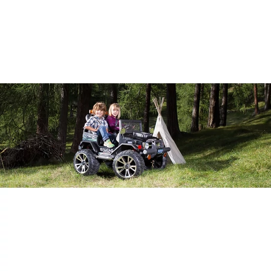 Gaucho Superpower 24V